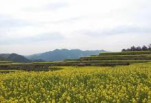 湖山村5