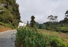 湖山村3