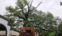 漳潭村4