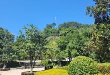 宏山公园3