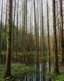 小格里自然风景区3