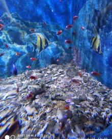 扬州极地海洋世界19