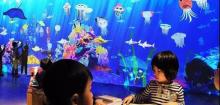 扬州极地海洋世界8