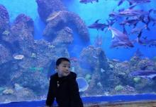 扬州极地海洋世界9