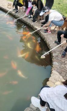 马畈农业奇幻乐园8