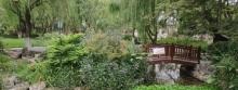吉杨公园2
