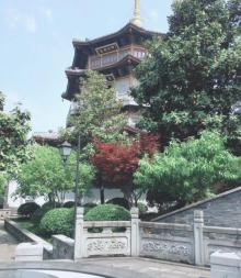 金粟寺2