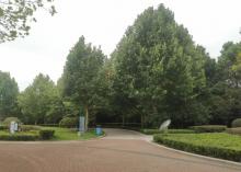 柳洲公园4