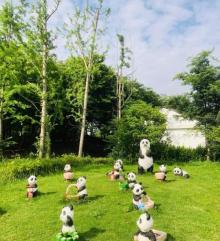 永红村5