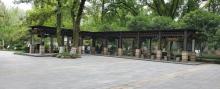 伯鸿城市书房(乌镇)1