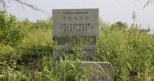 谭家湾遗址3
