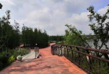 叔同公园4
