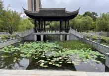 古荡公园4