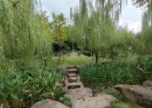古荡公园2