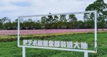 世合理想大地植物园1