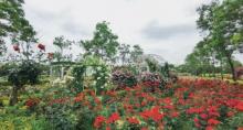 世合理想大地植物园2