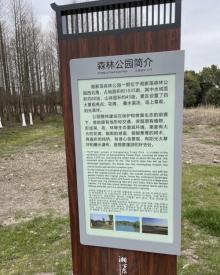 湘家荡森林公园9