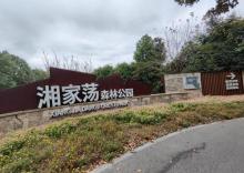 湘家荡森林公园3