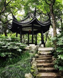 南湖人民公园7