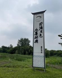 荷塘月色9
