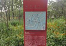 西南湖生态公园2