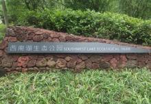 西南湖生态公园3