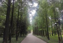 西南湖生态公园6