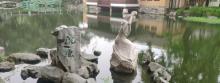 金明寺4