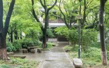 瓶山公园4