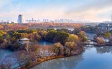 放鹤洲公园1