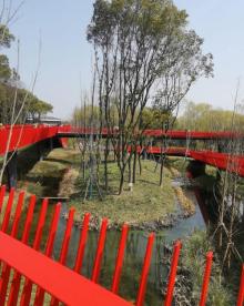 放鹤洲公园3