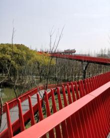 放鹤洲公园7