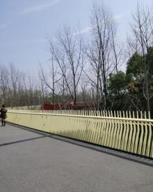 放鹤洲公园2
