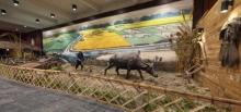 杭州市萧山区东沙农耕博物馆3