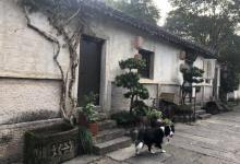 绍兴大禹开元度假村-禹裔馆9