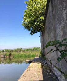 檀渎村4
