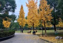 滨河公园2