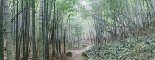 萧绍古道3