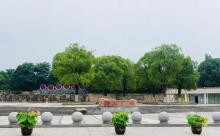 信义公园6