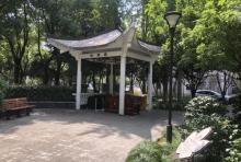 信义公园4