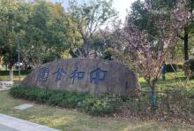 中和公园2