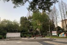 东大池公园2