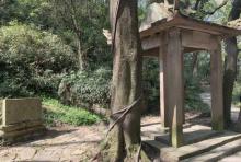 文种墓1