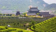 平阳禅寺4