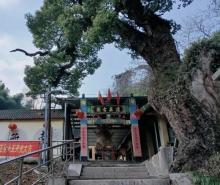 称山景区3
