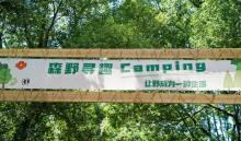 森野寻趣露营基地7