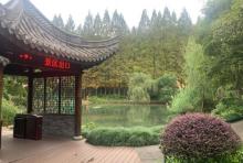 白云湖5