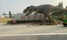树童部落1