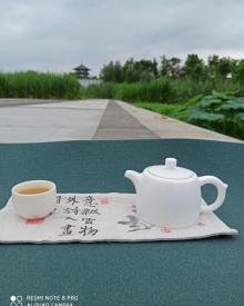 艇湖城市公园14