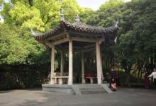 鹿山公园6